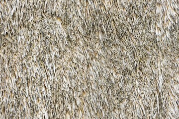 Weathered thatched roof, close-up