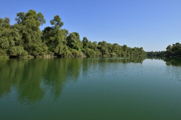 Moraca river delta at Skadar Lake National Park, Scutari, Montenegro, Crna Gora, Balkans, Europe