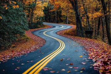 Obraz premium A winding road in beautiful woods surrounded by green leaves