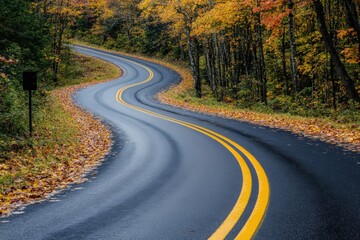 A winding road in beautiful woods surrounded by green leaves