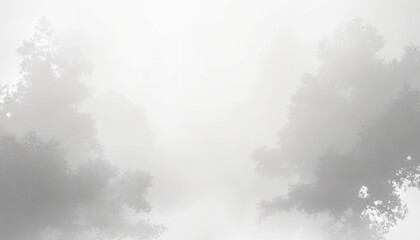 Obraz premium Misty forest background with faint trees in fog for serene atmosphere and copy space