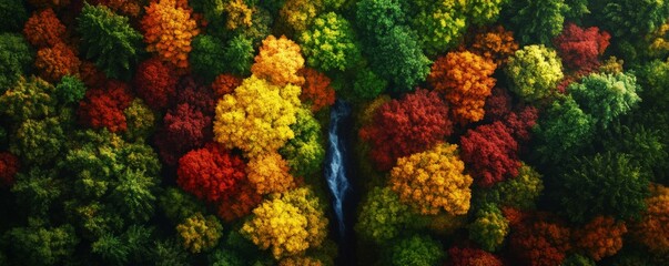 Vibrant Autumn Forest with Waterfall