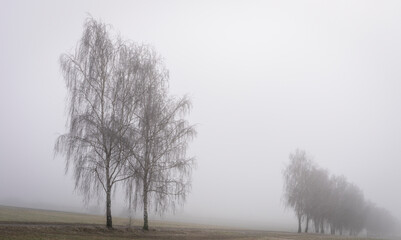 Landschaftsfotografie, Nebel im Januar, Berlin Lübars, Deutschland