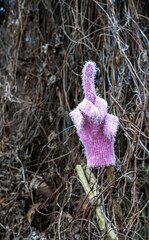 Landschaftsfotografie, Nebel im Januar, Berlin Lübars, Deutschland