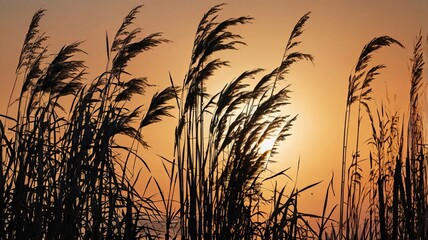 Swaying River Reeds with Hidden Wildlife #4