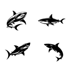 clean vector silhouette of shark isolated on white background 