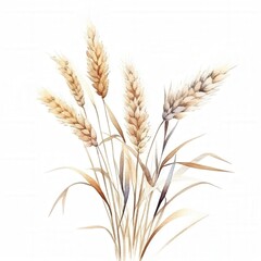 Fototapeta premium Wheat Field Illustration