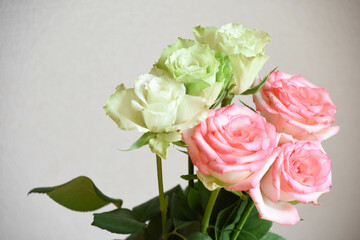 緑とピンクのばら