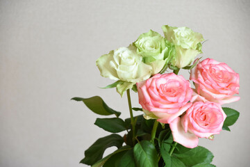 緑とピンクのばら