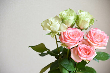 緑とピンクのばら