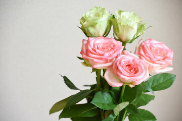 緑とピンクのばら