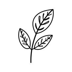 Botanical leaf outline illustration for eco-friendly nature-inspired design