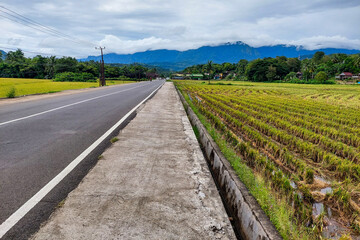 Obraz premium Paved roads and harvested rice fields in the countryside