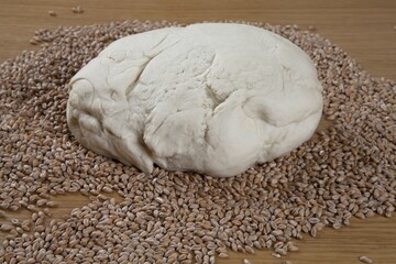 Dough, wheat grains