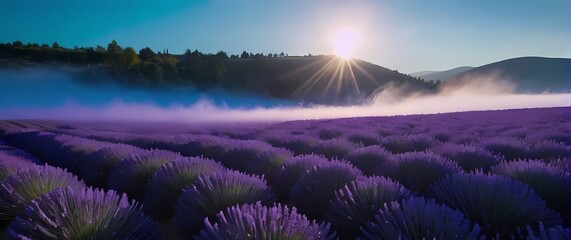 Obraz premium A vivid field of lavender growing harmoniously against a clear blue sky