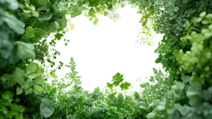 Lush green foliage creates a tranquil atmosphere in a garden setting during daylight hours