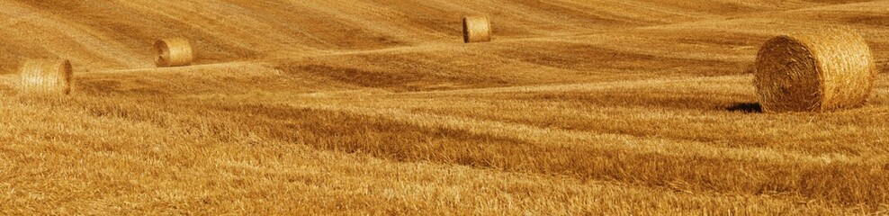 Fototapeta premium Bales of straw on a harvested field, Tuscany, Italy, Europe