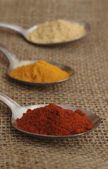 Spices on old spoons, curry, paprika and ginger powder