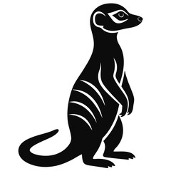 black and cartoon penguin