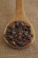 Coffee beans on a wooden spoon