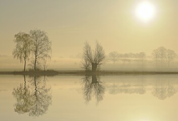 Morning mood at a lake at sunrise, near Tangstedt, Schleswig-Holstein, Germany, Europe