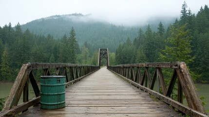 Obraz premium A rustic wooden bridge leading into a lush, misty forest. Captivating natural tranquility and serene wilderness escape.