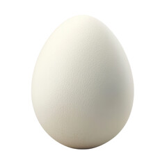 Smooth White Egg Isolated on White Background in Studio Lighting