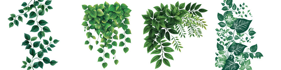 Stunning Green Foliage Patterns and Textures for Nature Inspired Designs and Backgrounds  Vibrant lush and botanical greenery in various shapes sizes and arrangements for use in commercial projects