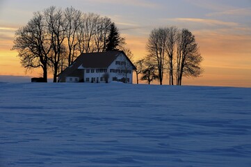 Snow plain with a house in evening light, Oberguenzburg, Bavaria, Germany, Europe
