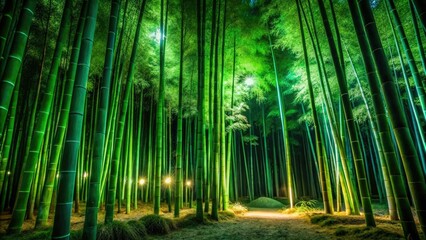 Enigmatic dark green bamboo forest at night; low light paints a mystical grove.