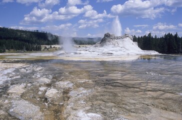 Castle Geyser, Yellowstone, USA, North America