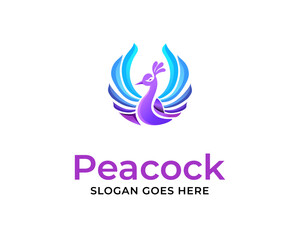 Obraz premium peacock colorful logo icon design 