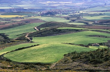 Obraz premium Landscape near Sos del Rey Catolico, Aragon (Zaragoza), Spain, Europe