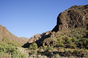 Fototapeta premium Barranco de Guayadeque, Gran Canaria, Spain, Europe