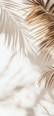 Obraz premium Elegant palm leaf shadows on beige wall background with tropical aesthetic and minimalist natural design
