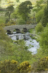 Clapper Bridge Postbridge Dartmoor National Park Devon England