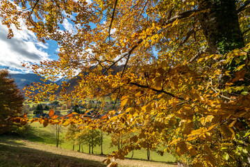 Autumn Splendor: Scenic Road Trip Through France and Switzerland