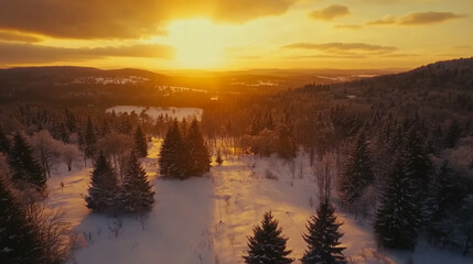 Fototapeta premium Golden Sunset Winter Forest Aerial View Snowy Landscape Sky Cold Pine Wood Trees White Nature Season