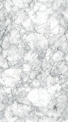Obraz premium White Marble Texture Background Displays Elegant Veins and Subtle Gray Accents Perfectly for Design Projects