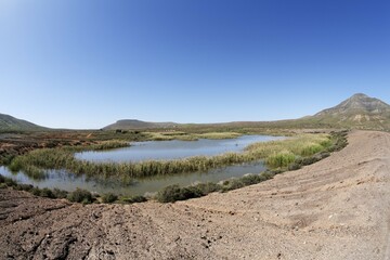 Reservoir Triquivijate , Fuerteventura , Canary Islands