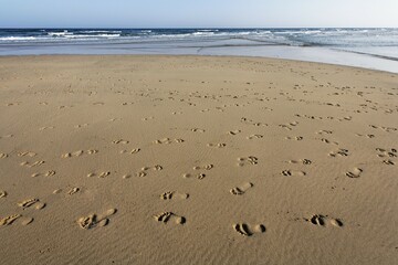 Foot prints , footprints , Playa de Sotavento , Jandia , Fuerteventura , Canary Islands