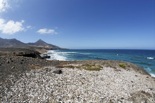 Shell midden , Playa de Cofete , Jandia , Fuerteventura , Canary Islands