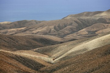 Mountains La Tablada near Pajara - Fuerteventura