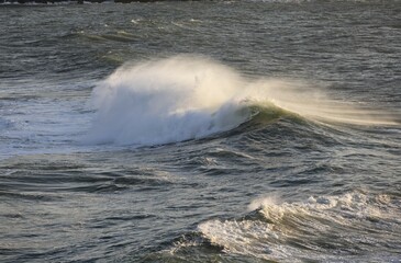 Sea waves , Fuerteventura , Canary Islands