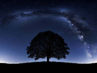Silhouetted Tree Stands Beneath a Majestic Milky Way in the Night Sky