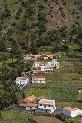 Fototapeta premium Epina - La Gomera