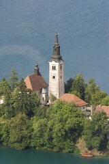 Fototapeta premium Lake Bled with Otok Island - Slovenia