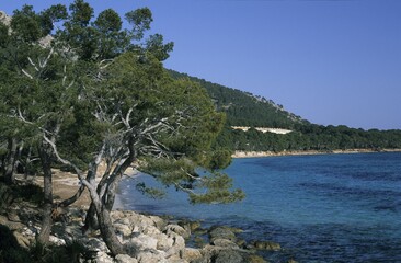 Mallorca Cap de Formentor Platja Playa Formentor