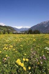 Fototapeta premium Arzl im Pitztal Tyrol Austria