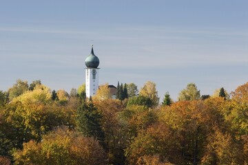Autumnal beeches - Buchenhain - Bavaria - Germany